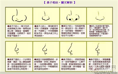 面相 看到鼻孔|鼻相分析10款｜鼻樑有節及橫紋、豬膽鼻、鼻頭下垂代表甚麼？姻 